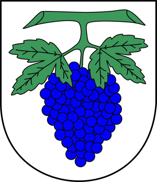 
    
            
                    Wappen Auerbach
                
        
